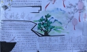 创建美丽攀枝花手抄报，文明在我心