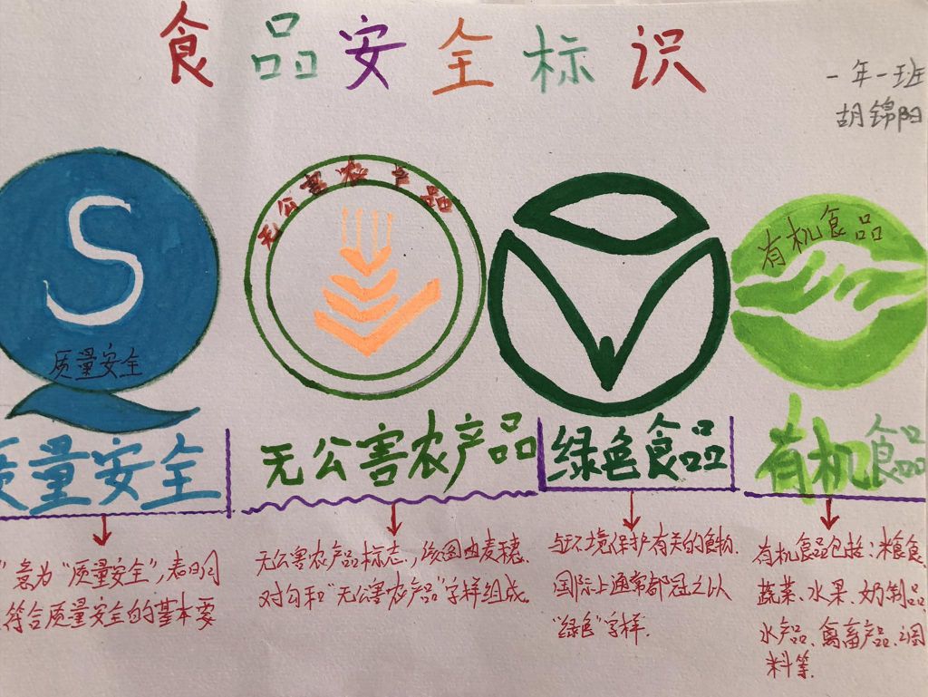 2022食品安全手抄报，拒绝垃圾食品健康从我做起