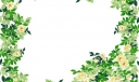 花卉边框81