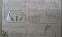 诗词小报图片欣赏