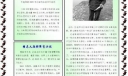 小学生电脑报：环保绿色风