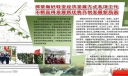 抓紧做好转变经济发展方式各项工作 不断赢得发展新优势开创发展新局面