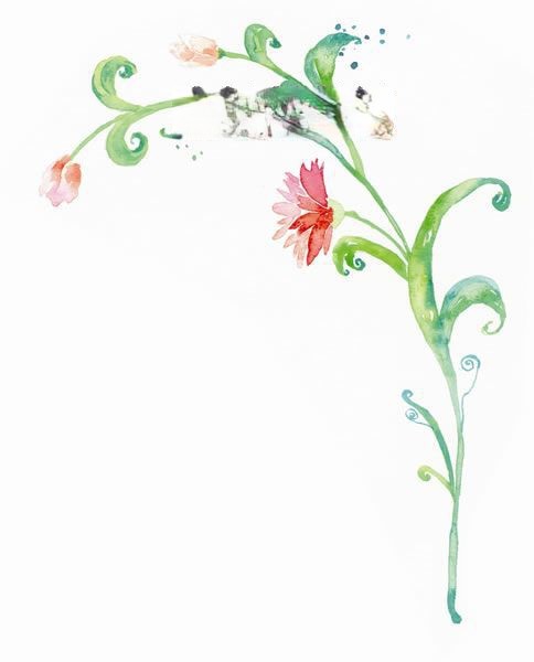 word花边大全