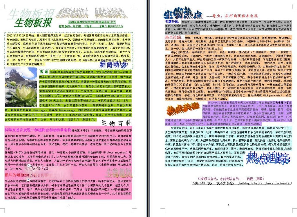 生物板报图片