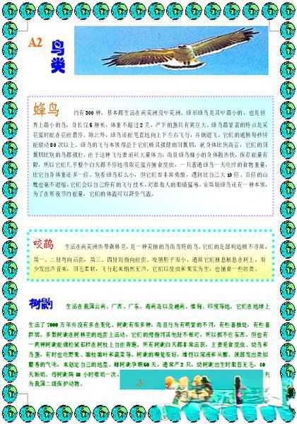 小学生电脑报：动物百科