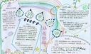节约水资源从我做起宣传手抄报