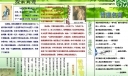 政治哲学板报图片