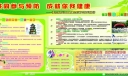 防慢性病板报图片