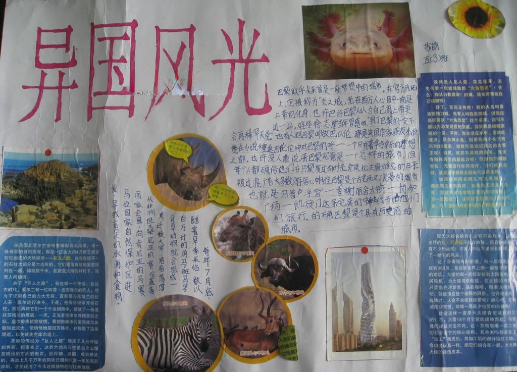 异国风情民俗手抄报