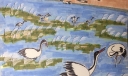 爱护水资源保护湿地主题手抄报，呵护美好呼吸珍爱每片湿地