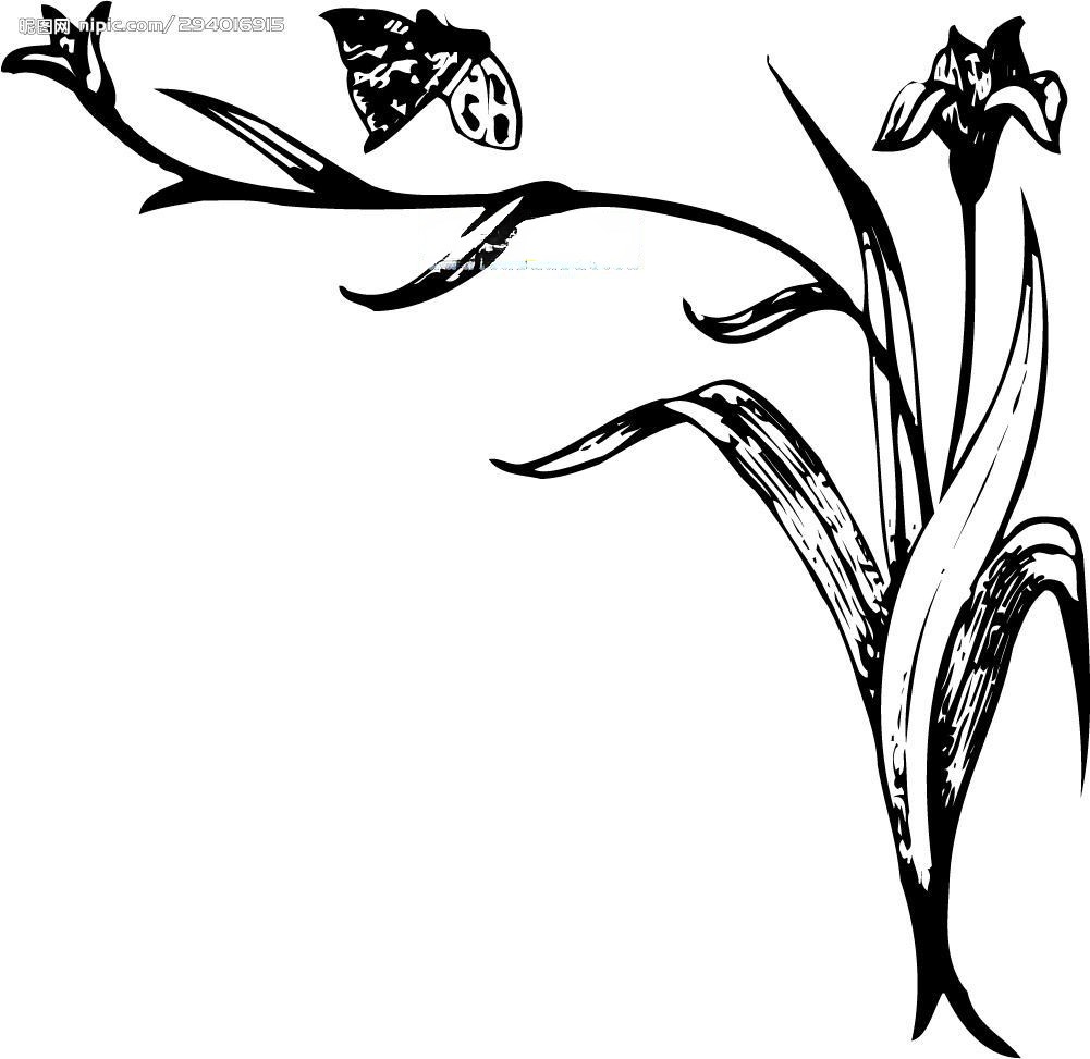 安全花边图片大全