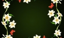 花卉边框1