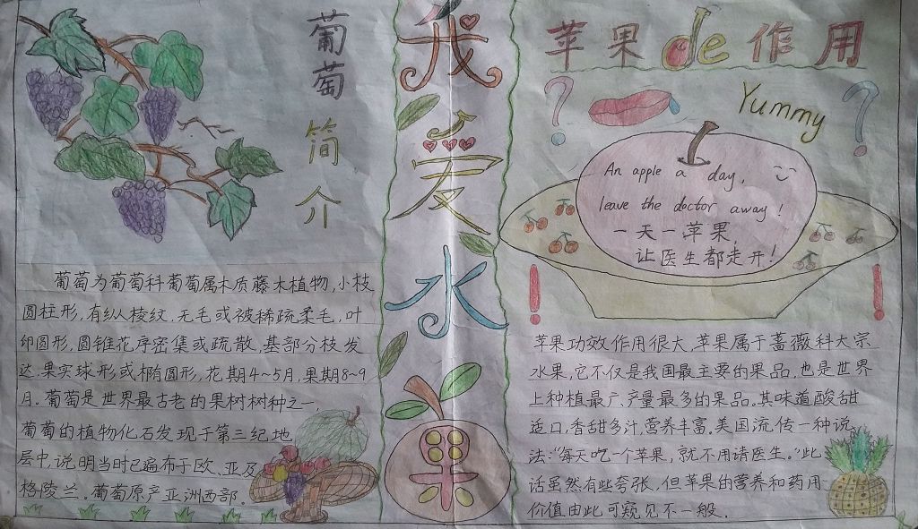 我爱水果手抄报图片 我爱水果手抄报图片