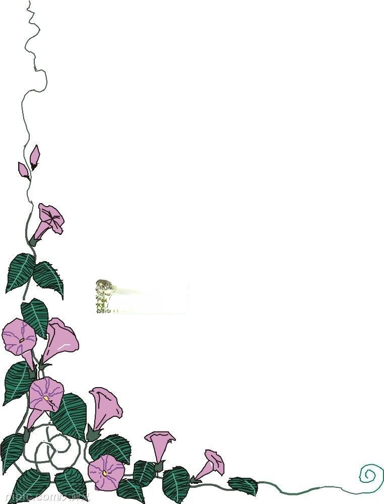 牵牛花花边图片