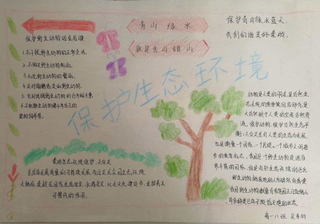 保护秦岭生态手抄报，秦岭保卫战