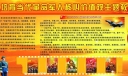 培育当代革命军人核心价值观主题教育板报