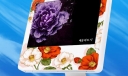 花卉边框58