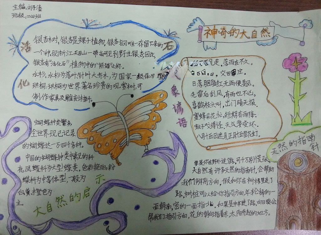 神奇的大自然手抄报