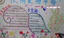 预防食物中毒手抄报-发芽的马铃薯中毒
