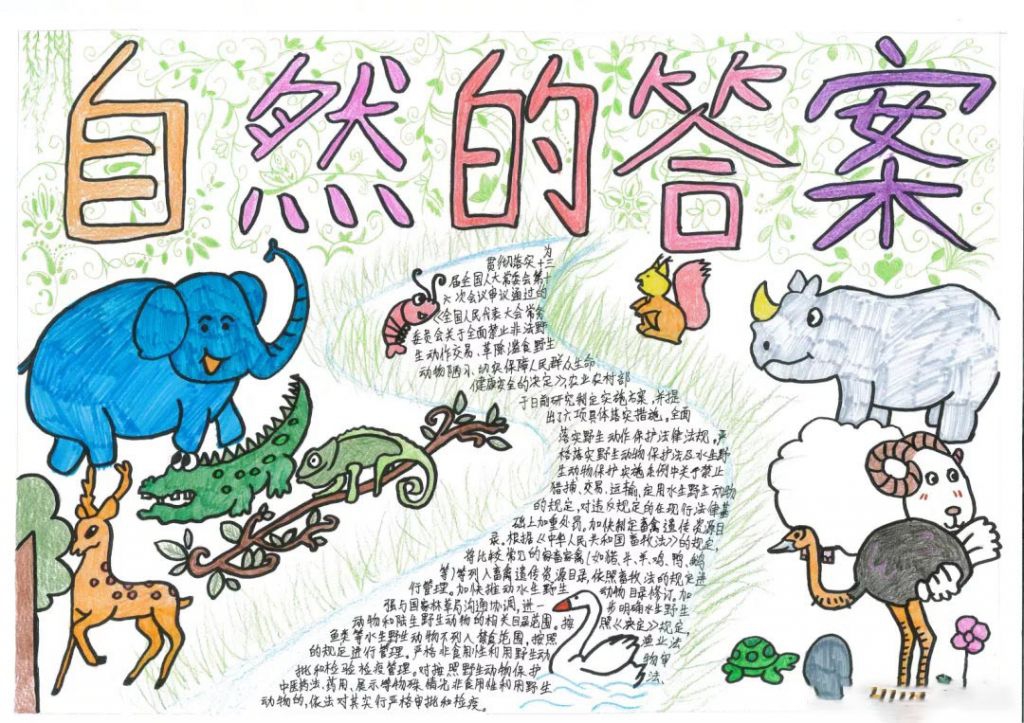 自然的答案手抄报图片，人类从自然界得到的启示