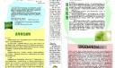 绿色的生命手抄报图片下载