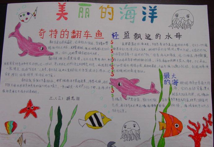 美丽的海洋手抄报