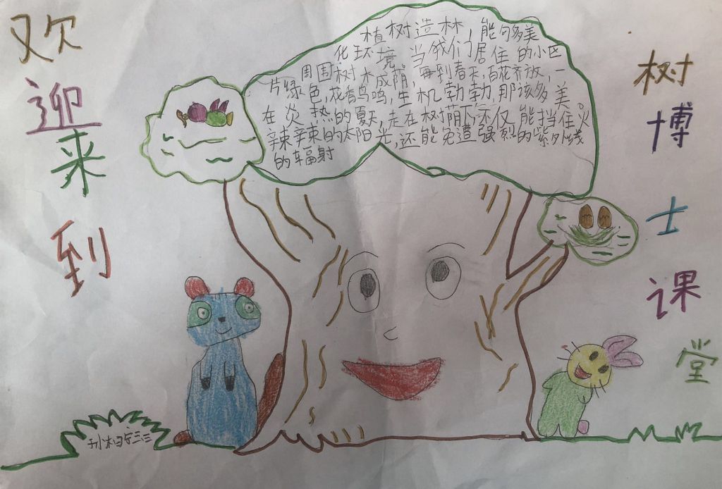 保护环境保护地球手抄报