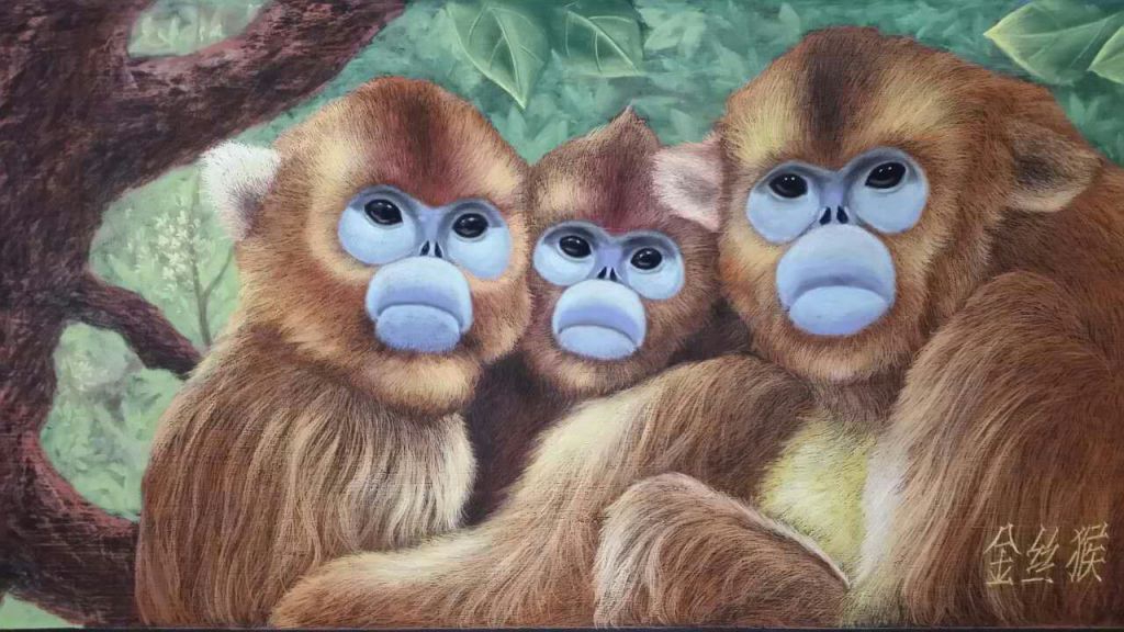 金丝猴粉笔绘画作品
