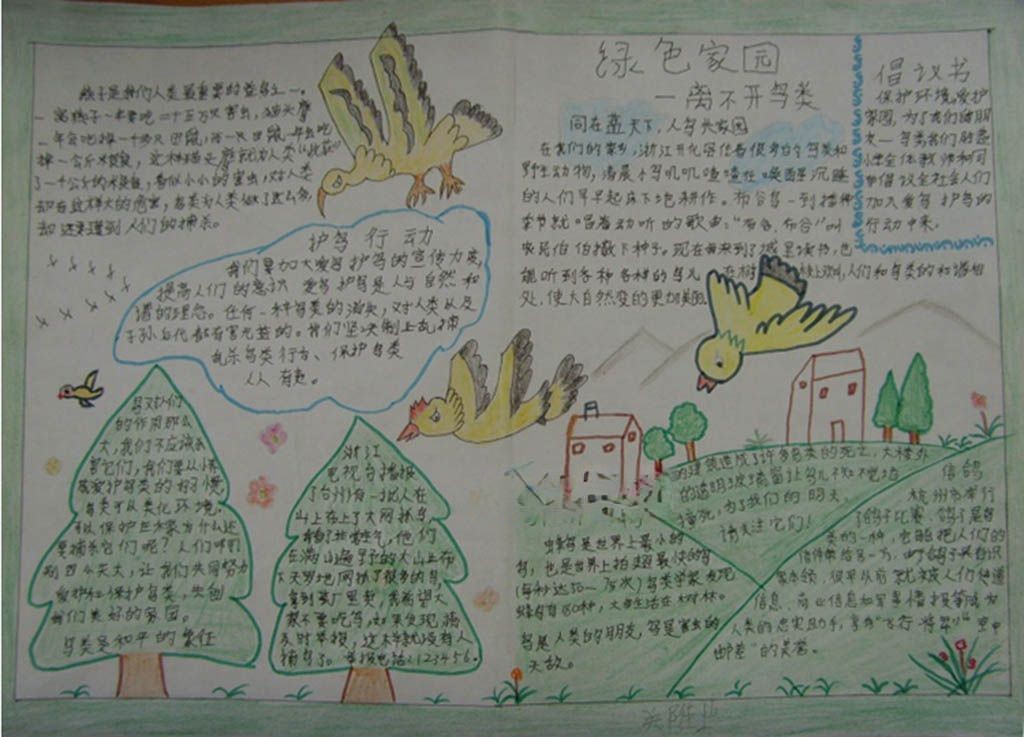 保护鸟类手抄报图片 保护鸟类手抄报图片