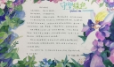 守望绿色手抄报设计图
