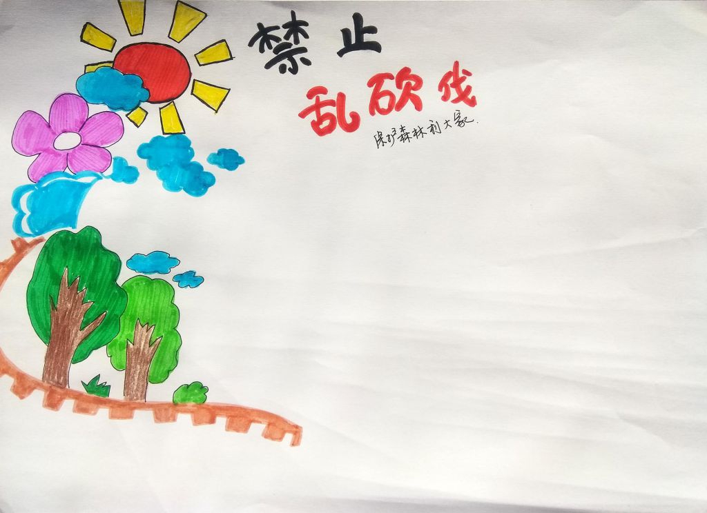 禁止乱砍伐，保护森林利大家手抄报