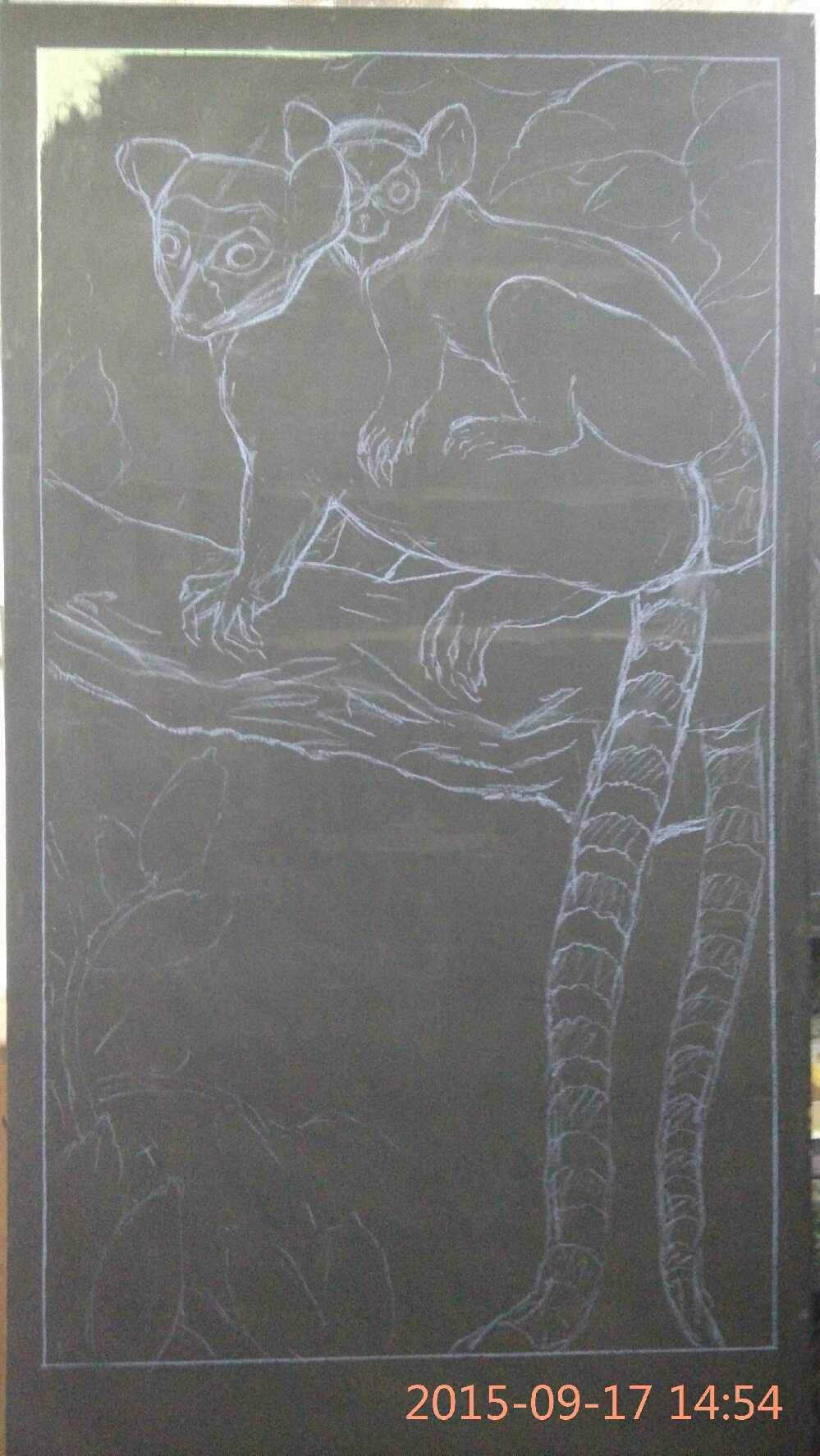 环尾狐猴粉笔画作品