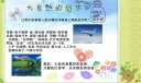 大自然的启示电子手抄报