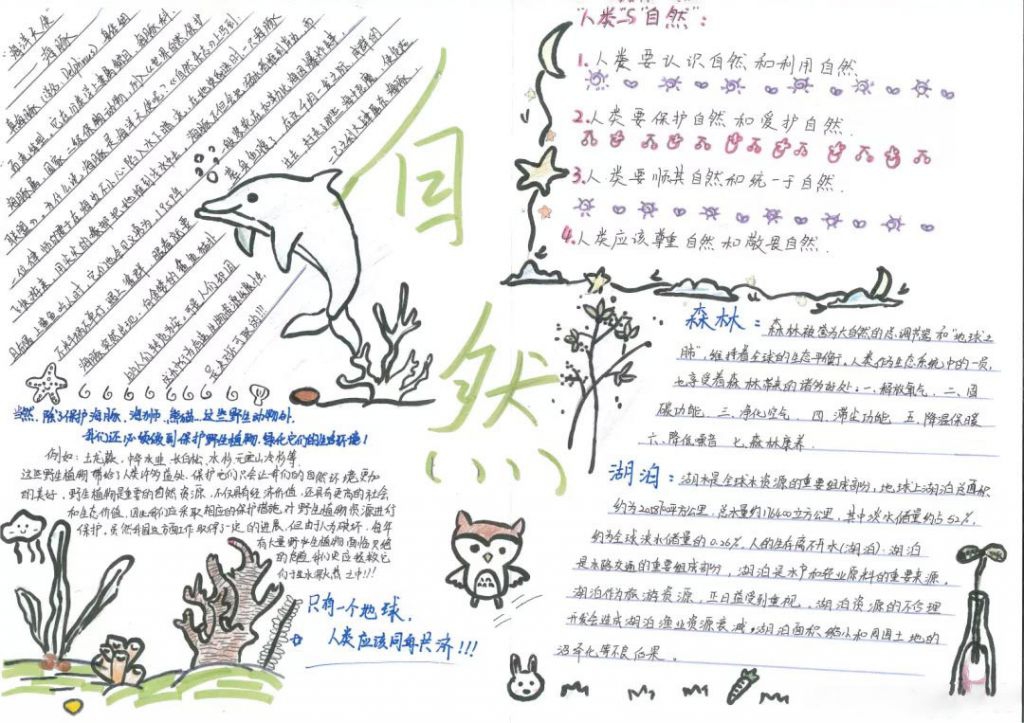 自然的答案手抄报图片，人类从自然界得到的启示