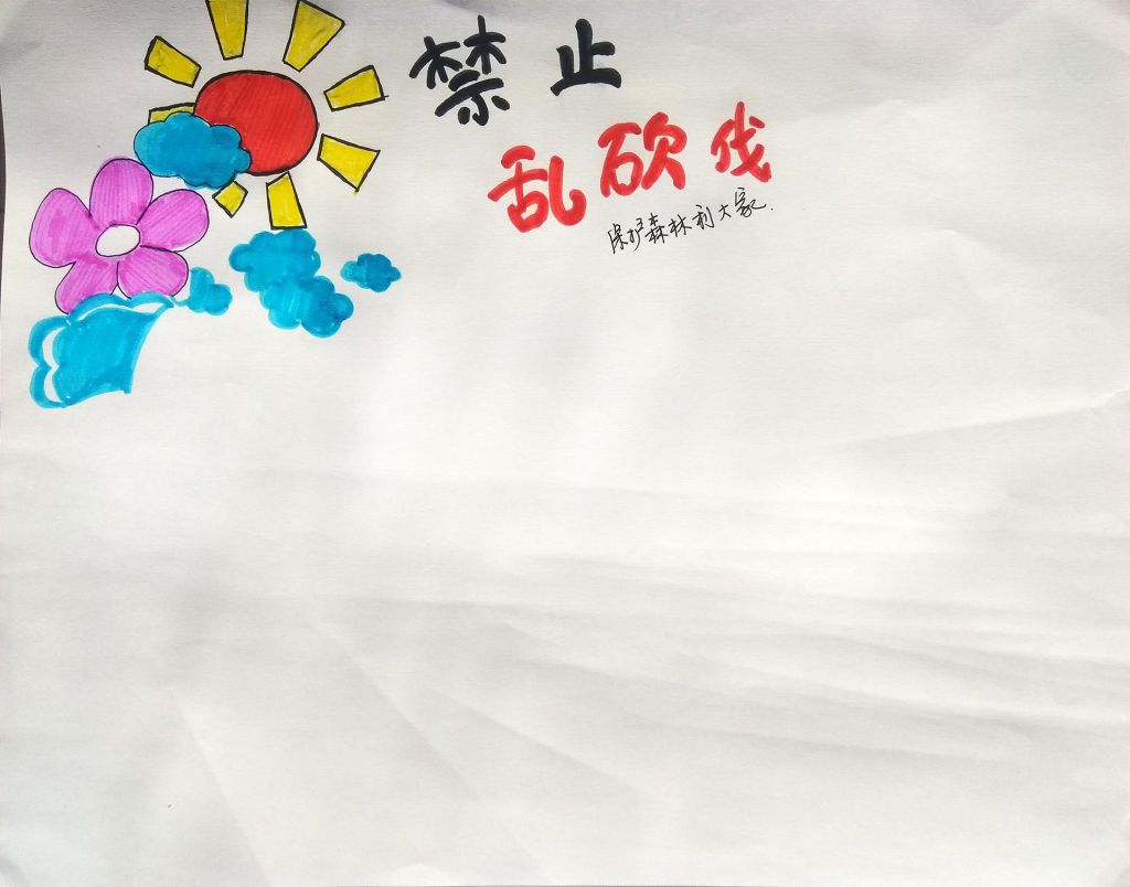 禁止乱砍伐，保护森林利大家手抄报