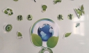 打造绿色校园之人与自然手抄报