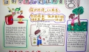 当好小主人创造新生活手抄报