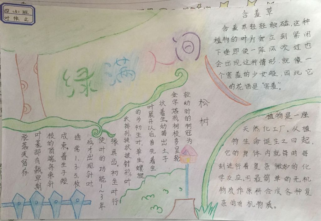 绿满人间手抄报图片