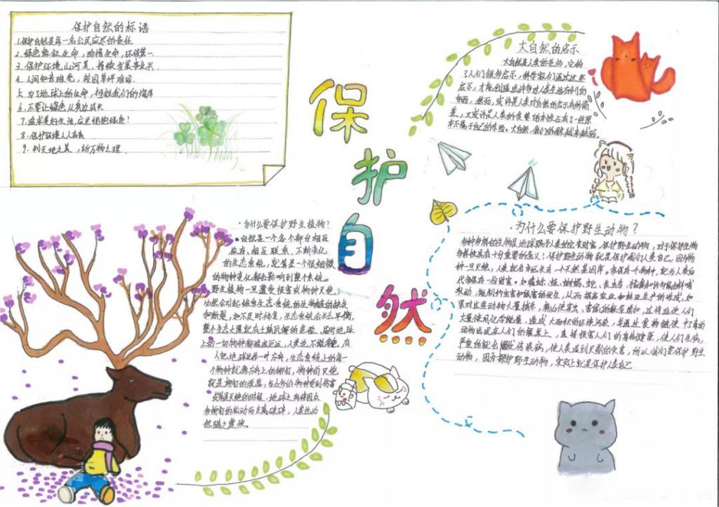 自然的答案手抄报图片，人类从自然界得到的启示