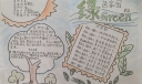 美丽宁夏绿色家园手抄报