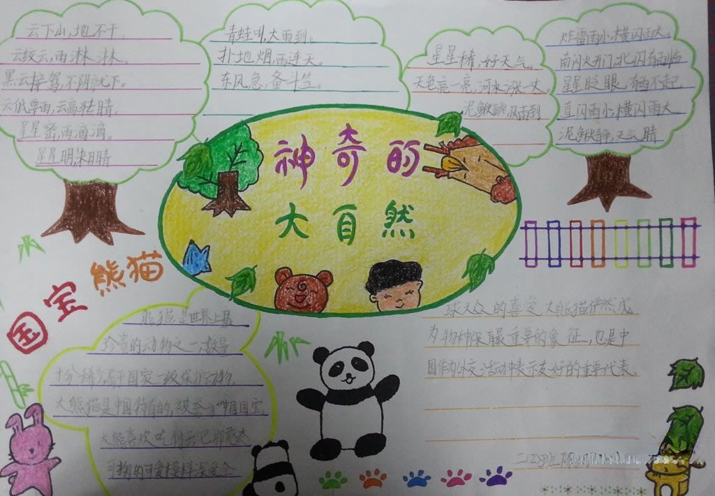 神奇的大自然手抄报