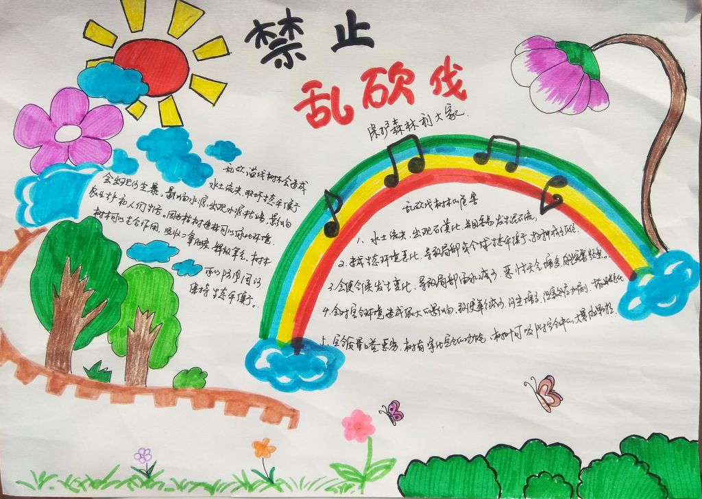 禁止乱砍伐，保护森林利大家手抄报