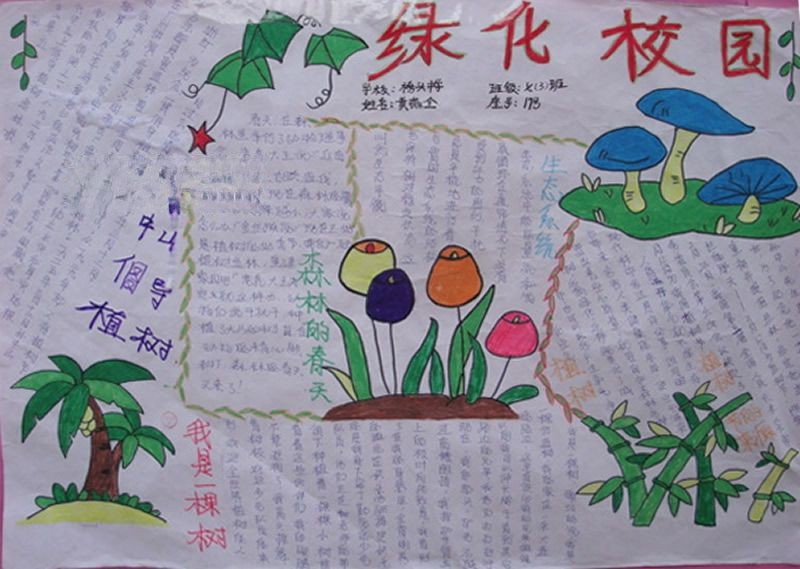 创建我的绿色校园手抄报