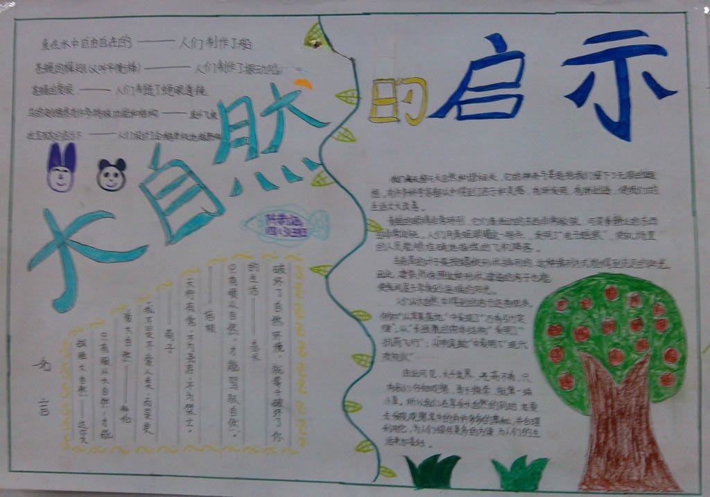 奇趣大自然手抄报图片