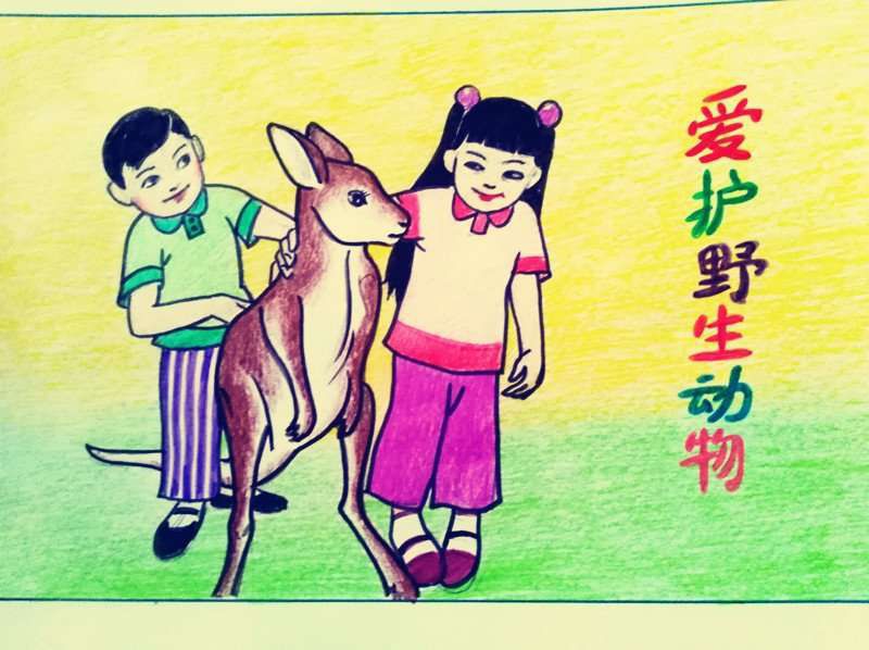 防控疫情从我做起粉笔画