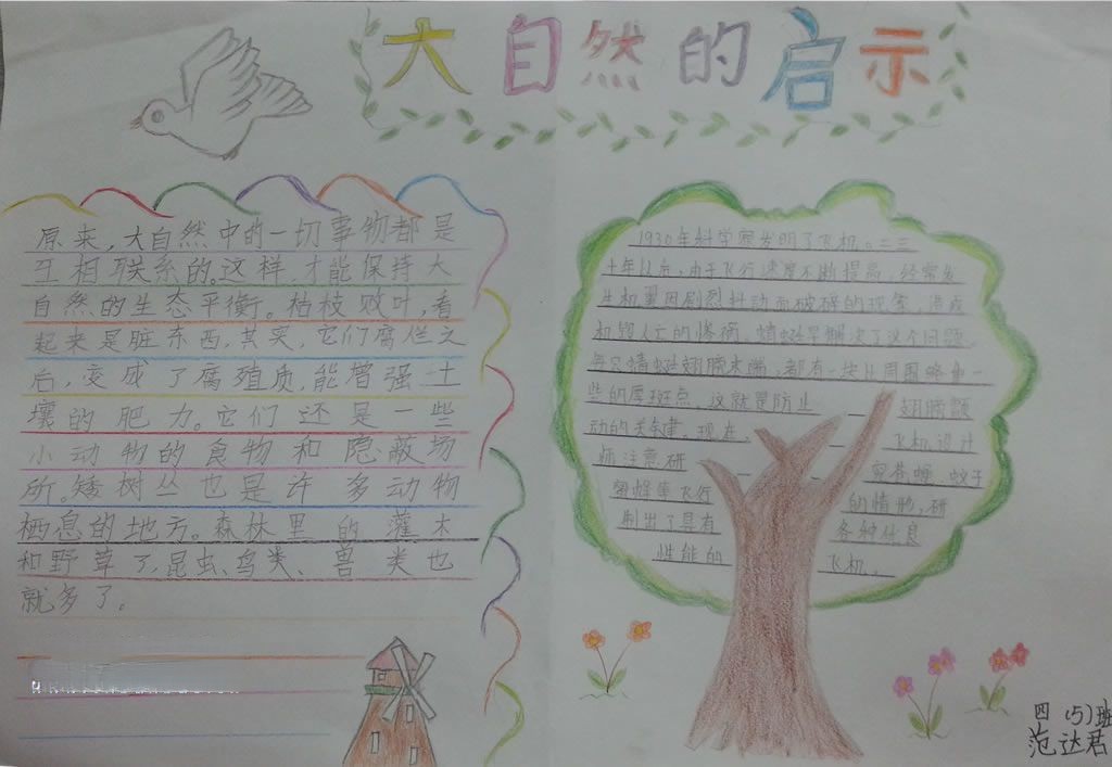 大自然的启示小报设计图