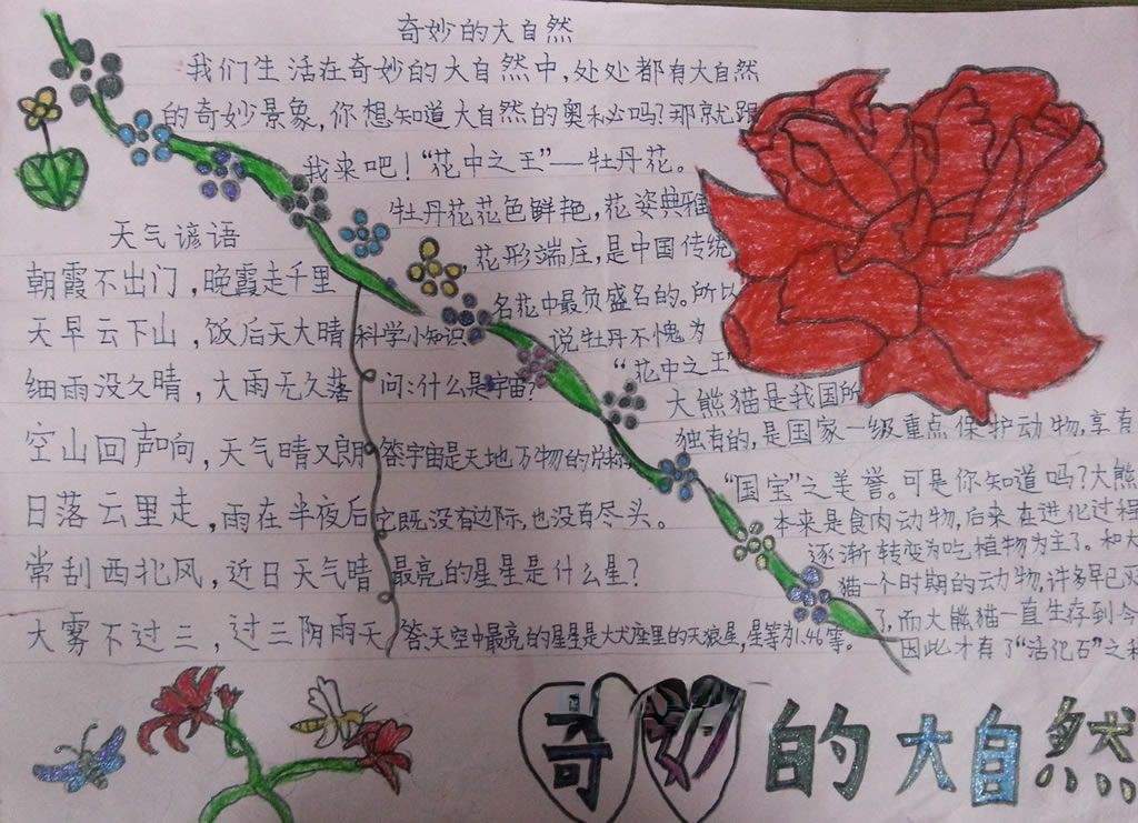 神奇的大自然手抄报
