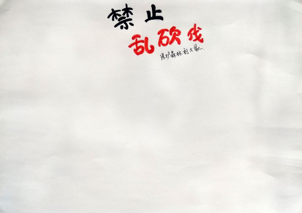 禁止乱砍伐，保护森林利大家手抄报