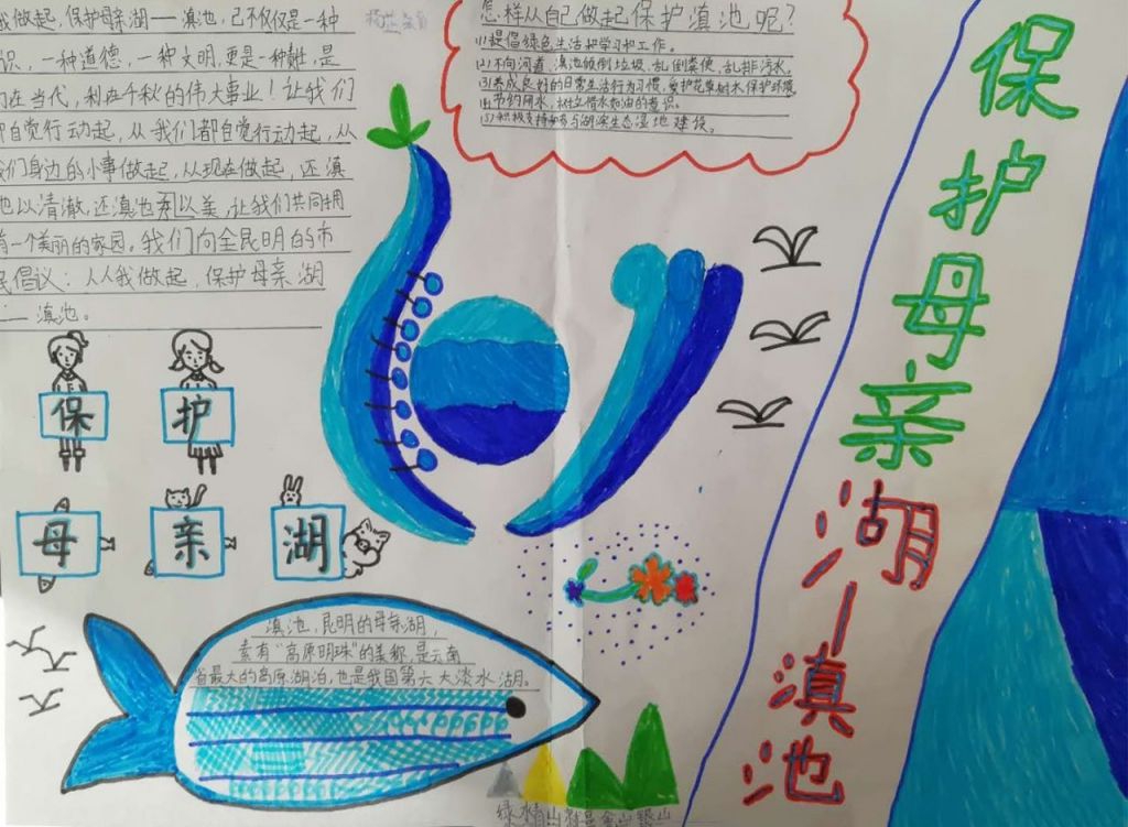 保护母亲湖滇池手抄报