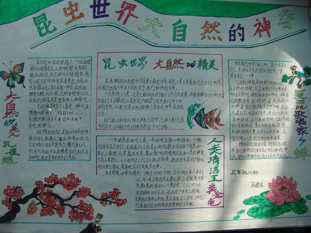 昆虫世界手抄报-大自然的神奇 昆虫世界手抄报-大自然的神奇